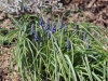 fruehling2013-09