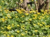 fruehling2013-14