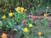 fruehling2013-25