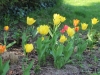 fruehling2013-26