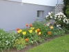 fruehling2013-37